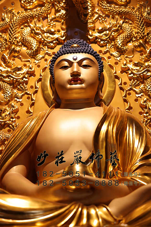 拘留孙佛正面近照