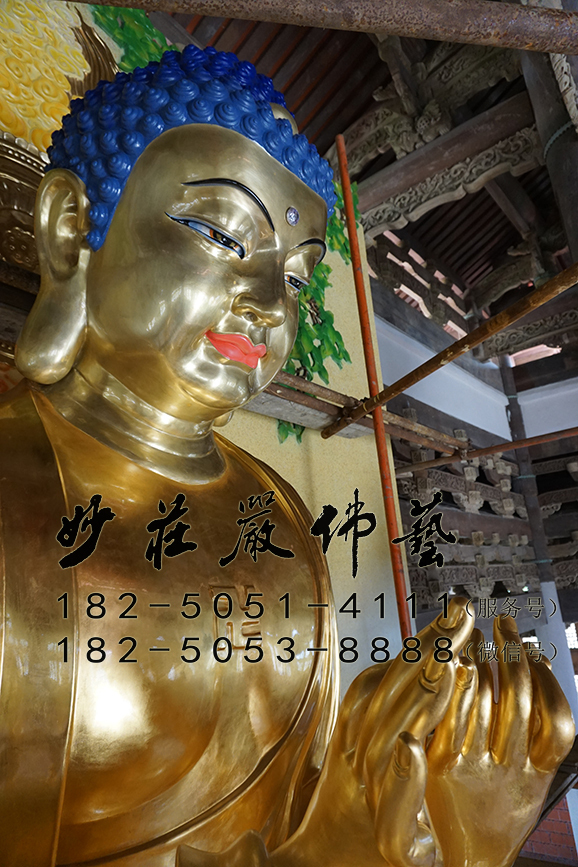 释迦牟尼佛近照现场实拍图